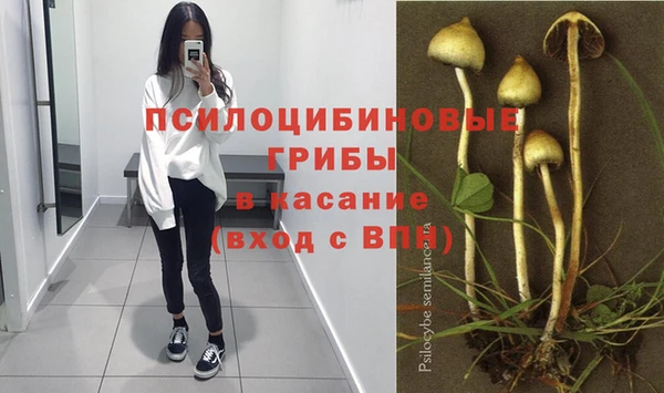 а пвп мука Баксан